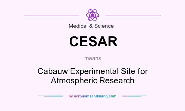 What does CESAR mean? It stands for Cabauw Experimental Site for Atmospheric Research