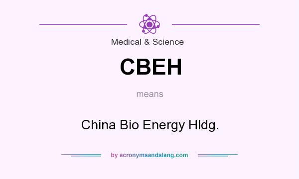What does CBEH mean? It stands for China Bio Energy Hldg.