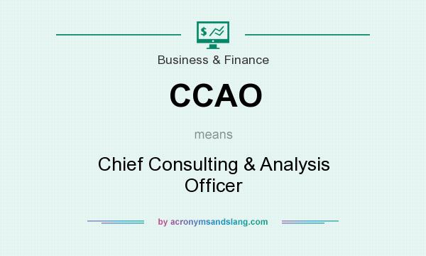 What does CCAO mean? It stands for Chief Consulting & Analysis Officer