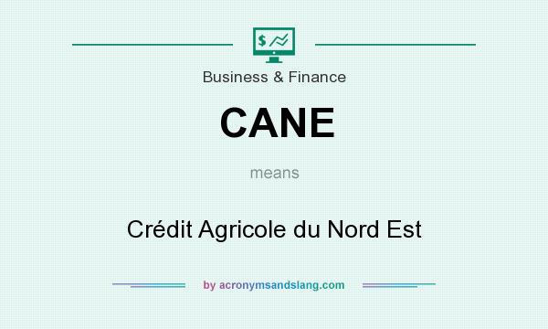 What does CANE mean? It stands for Crédit Agricole du Nord Est