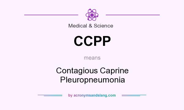 What does CCPP mean? It stands for Contagious Caprine Pleuropneumonia