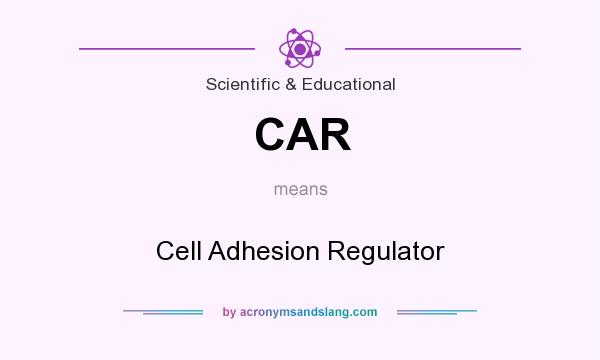 What does CAR mean? It stands for Cell Adhesion Regulator