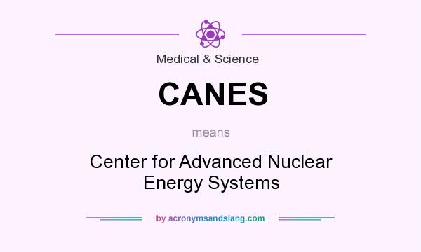 What does CANES mean? It stands for Center for Advanced Nuclear Energy Systems