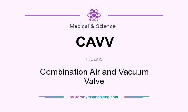 What does CAVV mean? It stands for Combination Air and Vacuum Valve