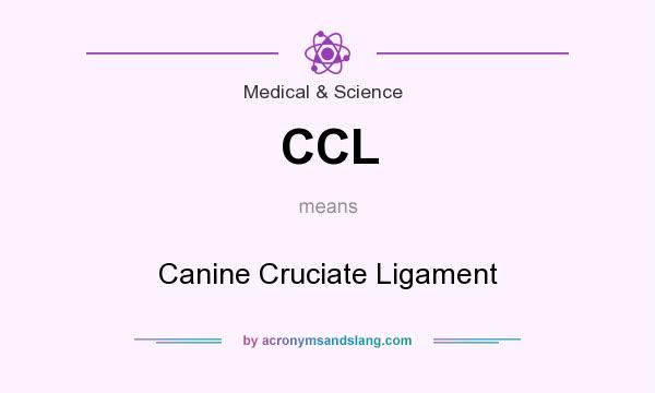 What does CCL mean? It stands for Canine Cruciate Ligament