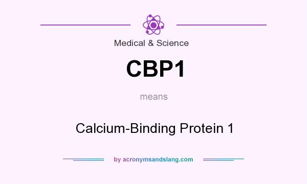 What does CBP1 mean? It stands for Calcium-Binding Protein 1