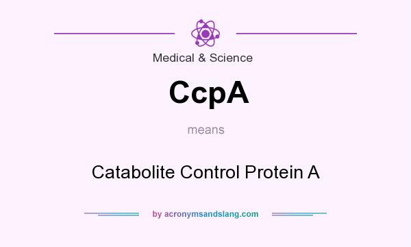 What does CcpA mean? It stands for Catabolite Control Protein A