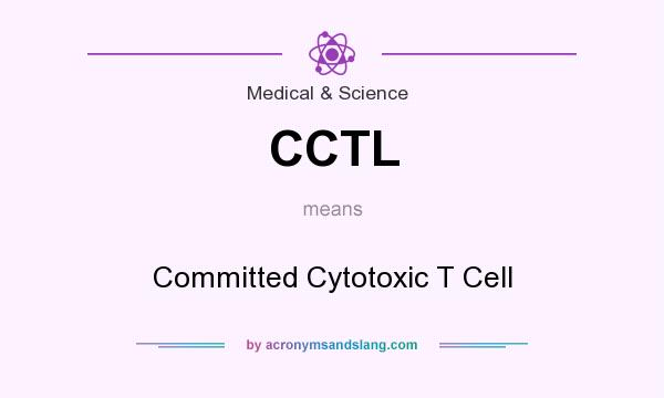 What does CCTL mean? It stands for Committed Cytotoxic T Cell