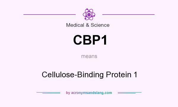 What does CBP1 mean? It stands for Cellulose-Binding Protein 1
