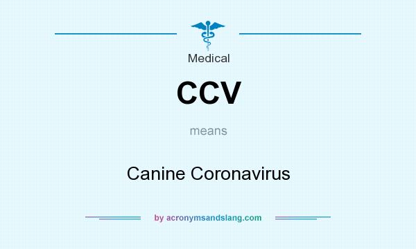 What does CCV mean? It stands for Canine Coronavirus