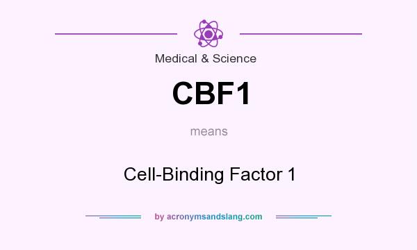 What does CBF1 mean? It stands for Cell-Binding Factor 1