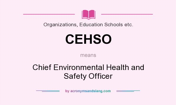 What does CEHSO mean? It stands for Chief Environmental Health and Safety Officer