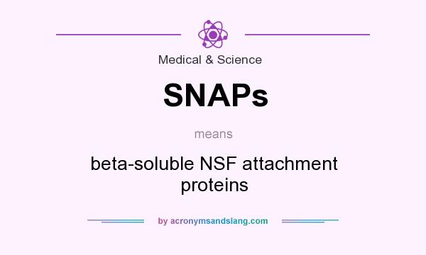 What does SNAPs mean? It stands for beta-soluble NSF attachment proteins