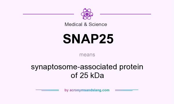 What does SNAP25 mean? It stands for synaptosome-associated protein of 25 kDa