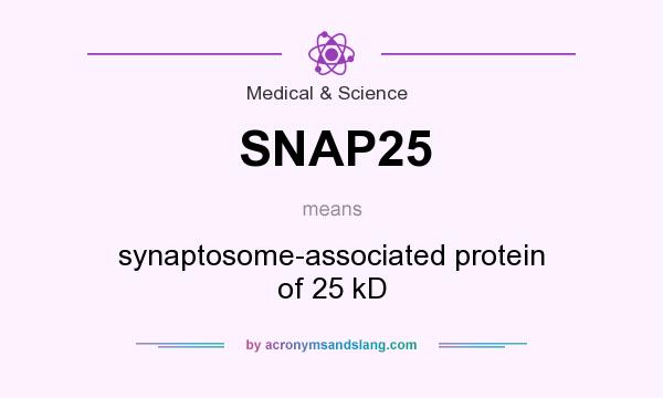 What does SNAP25 mean? It stands for synaptosome-associated protein of 25 kD