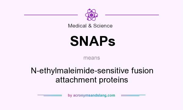 What does SNAPs mean? It stands for N-ethylmaleimide-sensitive fusion attachment proteins