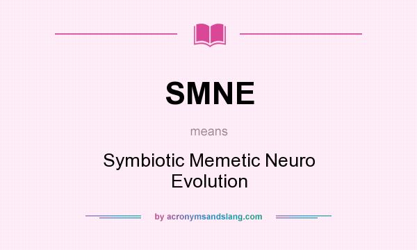 What does SMNE mean? It stands for Symbiotic Memetic Neuro Evolution