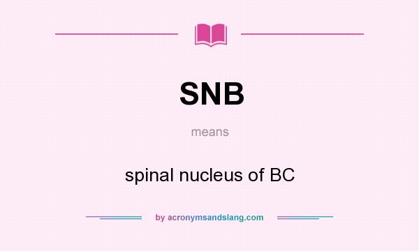 What does SNB mean? It stands for spinal nucleus of BC