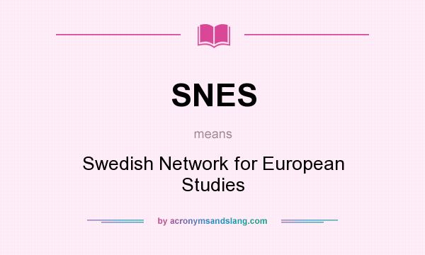 What does SNES mean? It stands for Swedish Network for European Studies