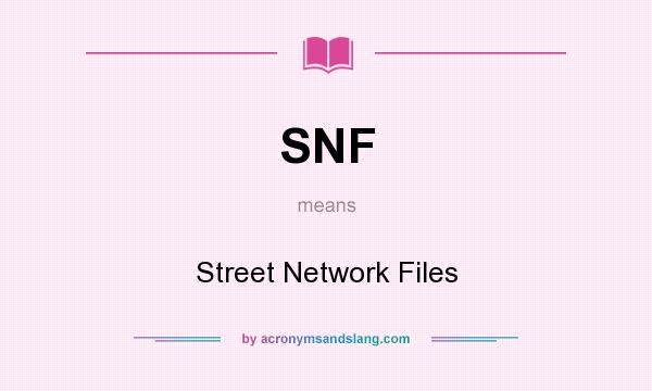 What does SNF mean? It stands for Street Network Files