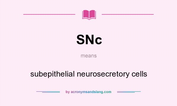 What does SNc mean? It stands for subepithelial neurosecretory cells