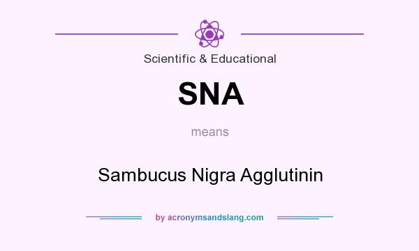 What does SNA mean? It stands for Sambucus Nigra Agglutinin