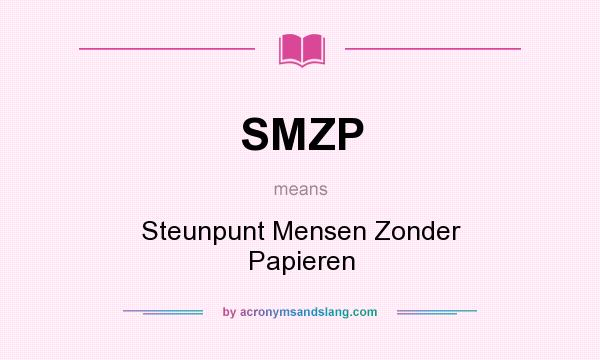 What does SMZP mean? It stands for Steunpunt Mensen Zonder Papieren