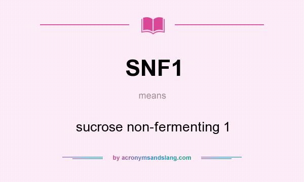 What does SNF1 mean? It stands for sucrose non-fermenting 1