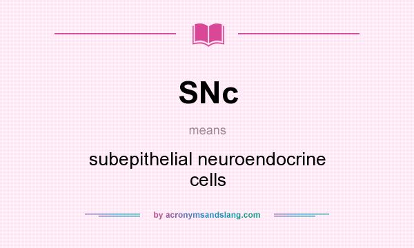 What does SNc mean? It stands for subepithelial neuroendocrine cells