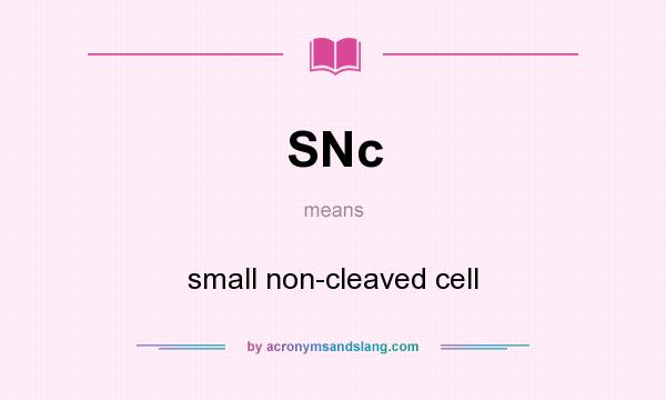 What does SNc mean? It stands for small non-cleaved cell