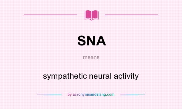 What does SNA mean? It stands for sympathetic neural activity