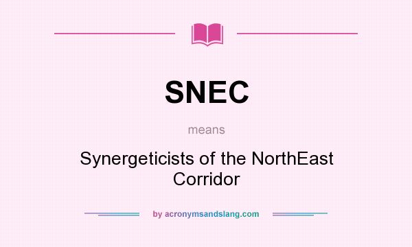 What does SNEC mean? It stands for Synergeticists of the NorthEast Corridor