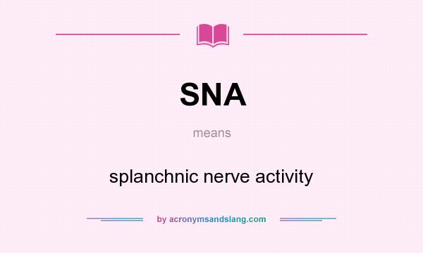 What does SNA mean? It stands for splanchnic nerve activity