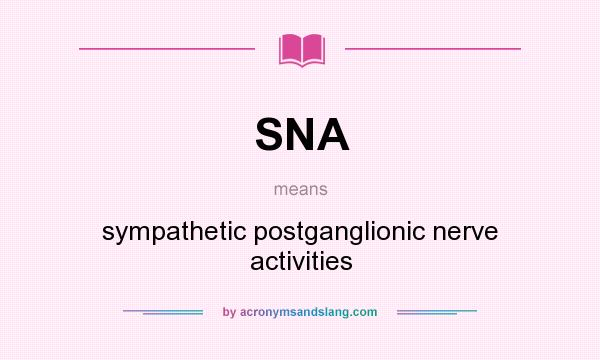 What does SNA mean? It stands for sympathetic postganglionic nerve activities