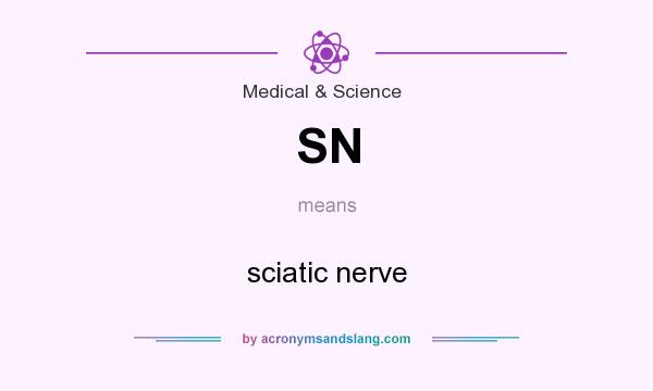 What does SN mean? It stands for sciatic nerve