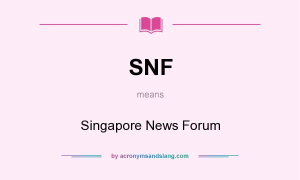 What does SNF mean? It stands for Singapore News Forum