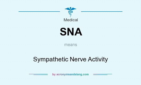 What does SNA mean? It stands for Sympathetic Nerve Activity