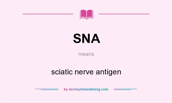 What does SNA mean? It stands for sciatic nerve antigen
