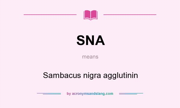 What does SNA mean? It stands for Sambacus nigra agglutinin
