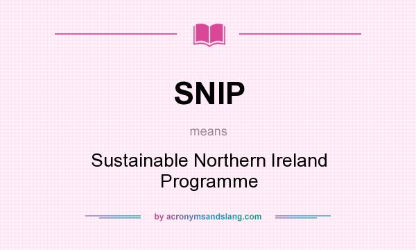 What does SNIP mean? It stands for Sustainable Northern Ireland Programme