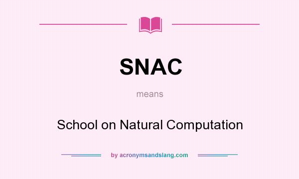 What does SNAC mean? It stands for School on Natural Computation