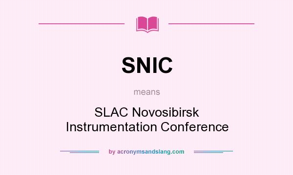 What does SNIC mean? It stands for SLAC Novosibirsk Instrumentation Conference