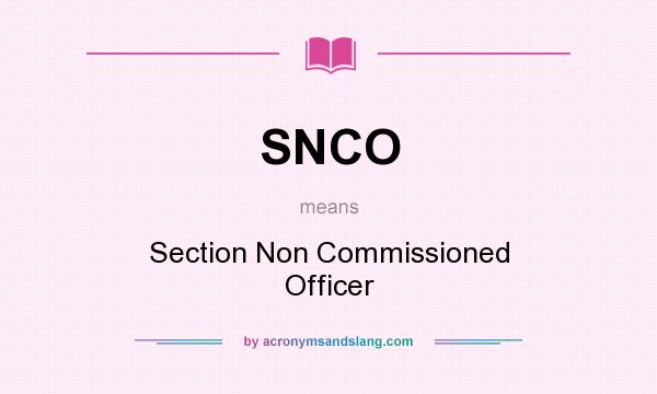 What does SNCO mean? It stands for Section Non Commissioned Officer