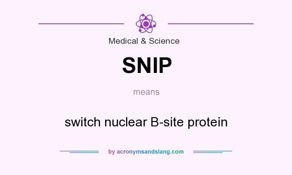 What does SNIP mean? It stands for switch nuclear B-site protein