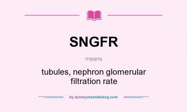 What does SNGFR mean? It stands for tubules, nephron glomerular filtration rate