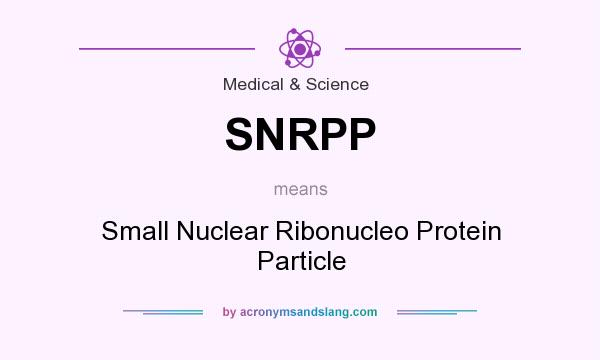 What does SNRPP mean? It stands for Small Nuclear Ribonucleo Protein Particle