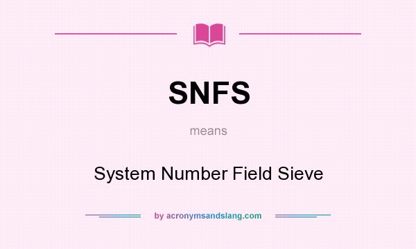 What does SNFS mean? It stands for System Number Field Sieve