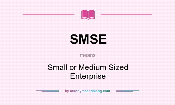 What does SMSE mean? It stands for Small or Medium Sized Enterprise