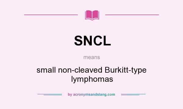 What does SNCL mean? It stands for small non-cleaved Burkitt-type lymphomas