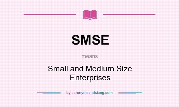 What does SMSE mean? It stands for Small and Medium Size Enterprises